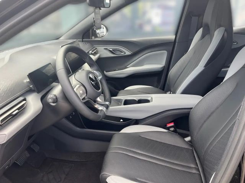 BYD Dolphin Surf