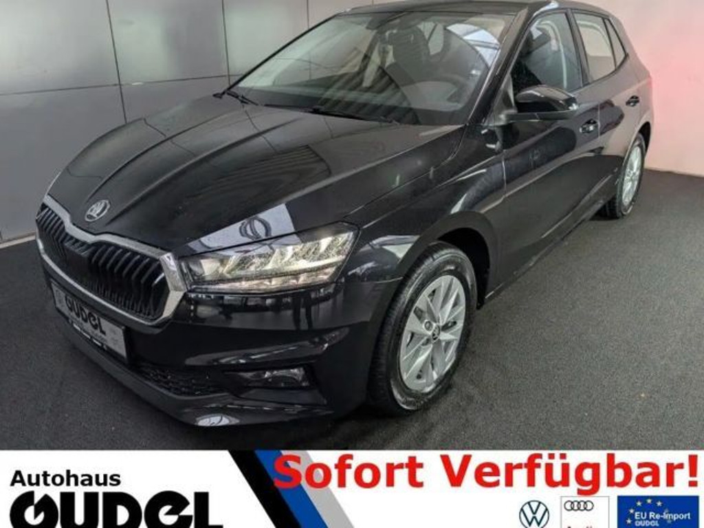 Skoda Fabia 1.0TSI"Selection"Rear LaneASS App