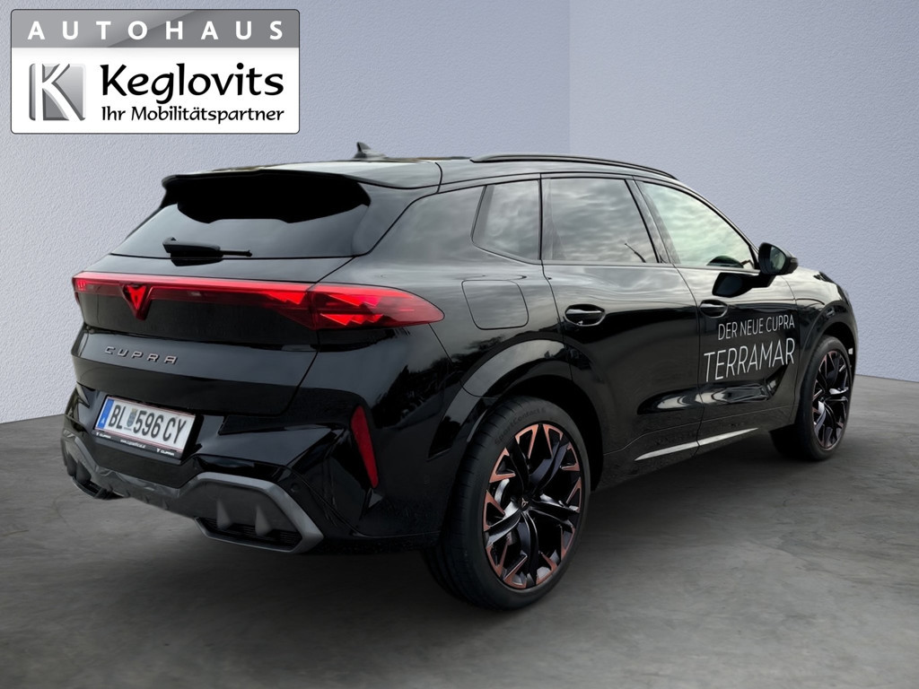Cupra Terramar