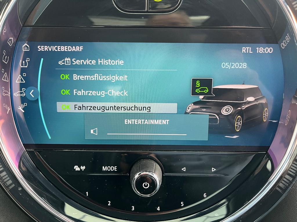 Mini Mini Electric