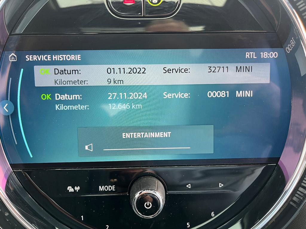 Mini Mini Electric