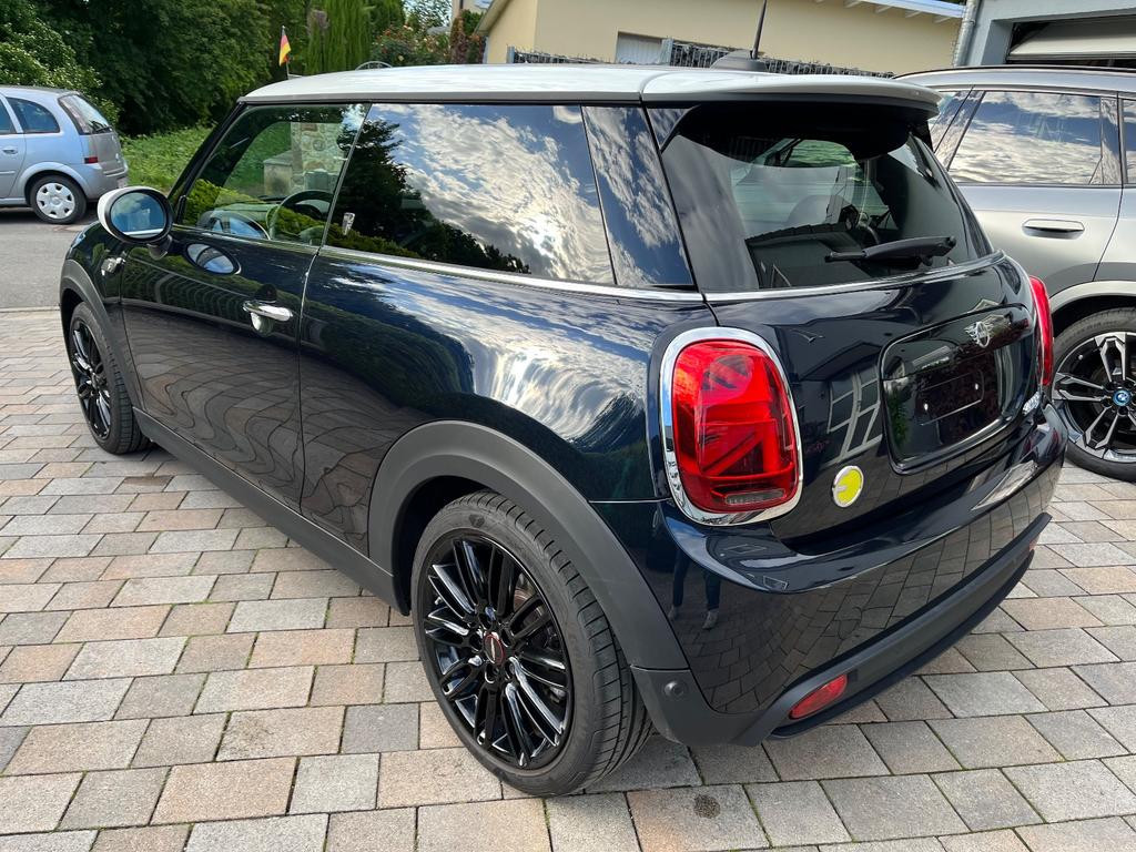 Mini Mini Electric