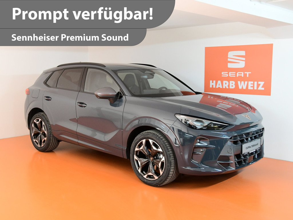 Cupra Terramar 1.5 e-TSI 150 PS DSG