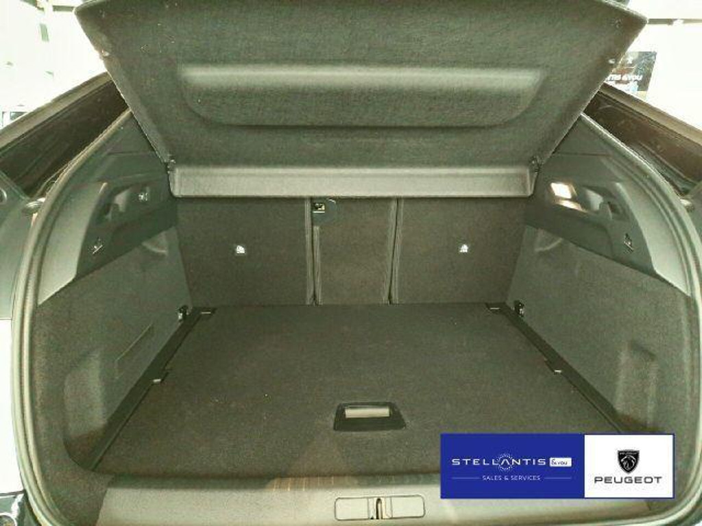 Peugeot E-3008