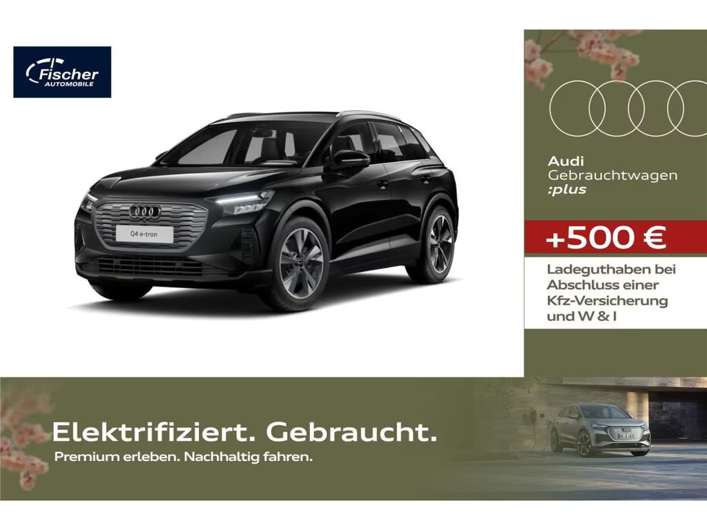 Audi Q4 e-tron W-Pumpe/Leder/Sonos/360/ele.Heckkl.