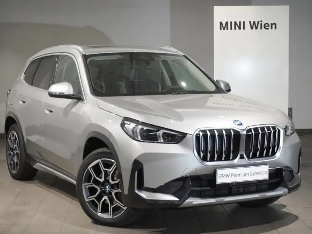 BMW X1 xDrive25e