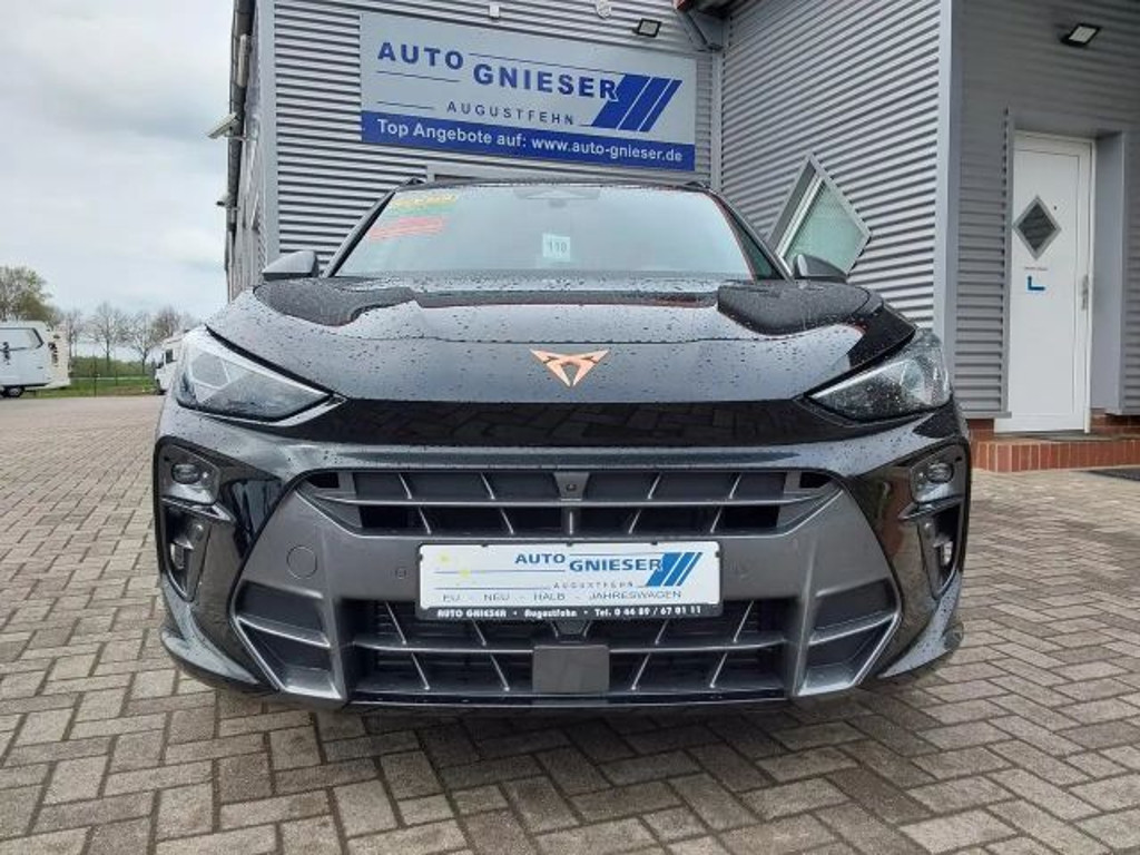 Cupra Terramar