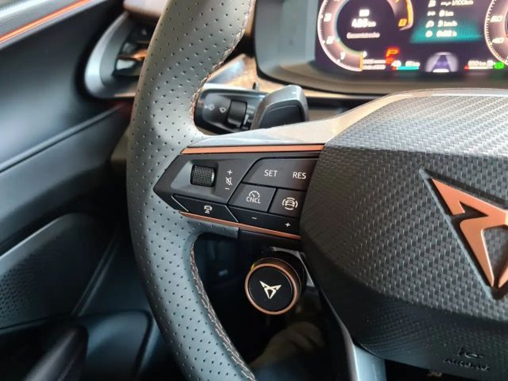 Cupra Terramar