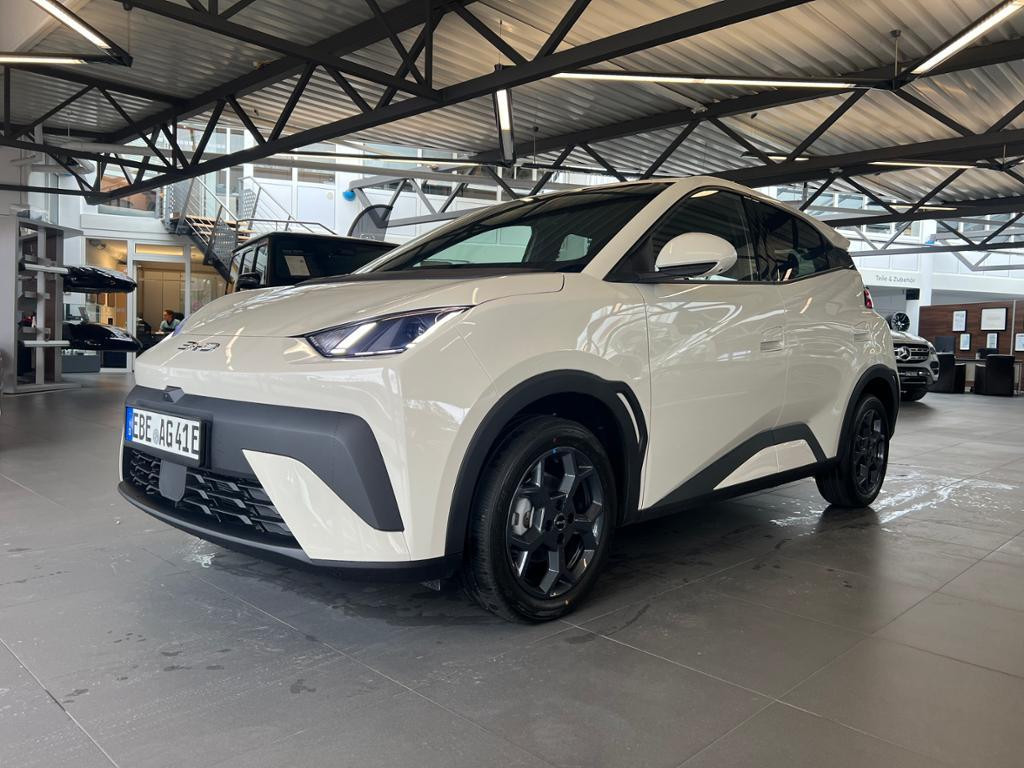 BYD Dolphin
