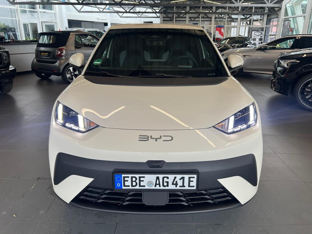 BYD Dolphin