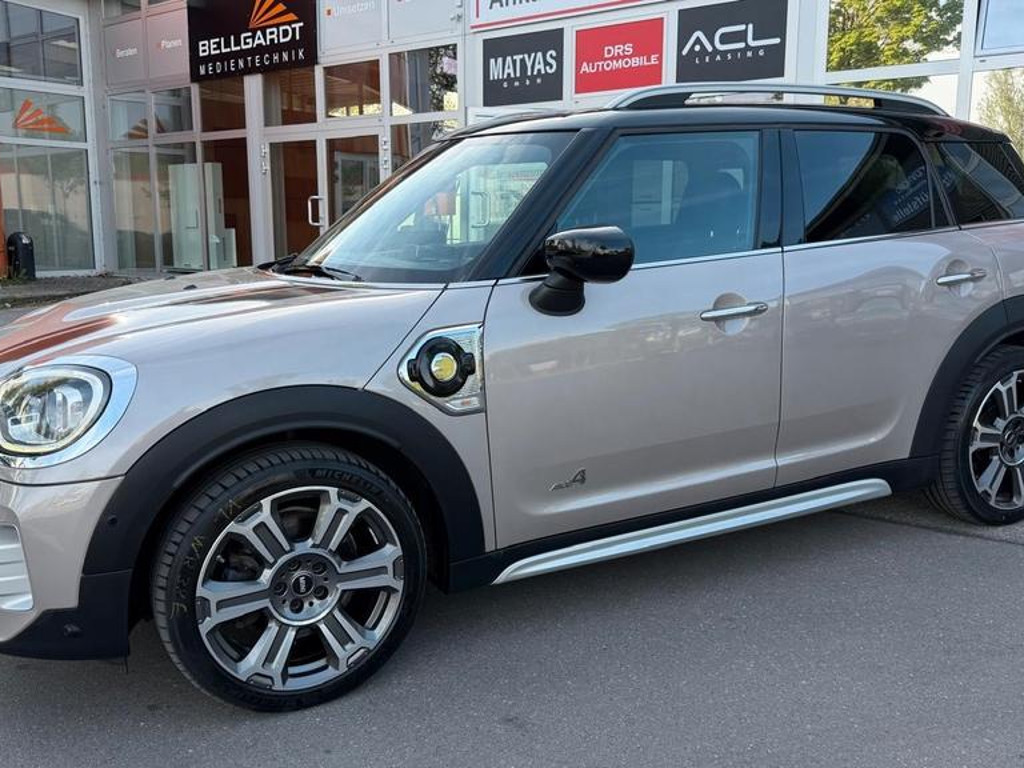 Mini Mini Electric