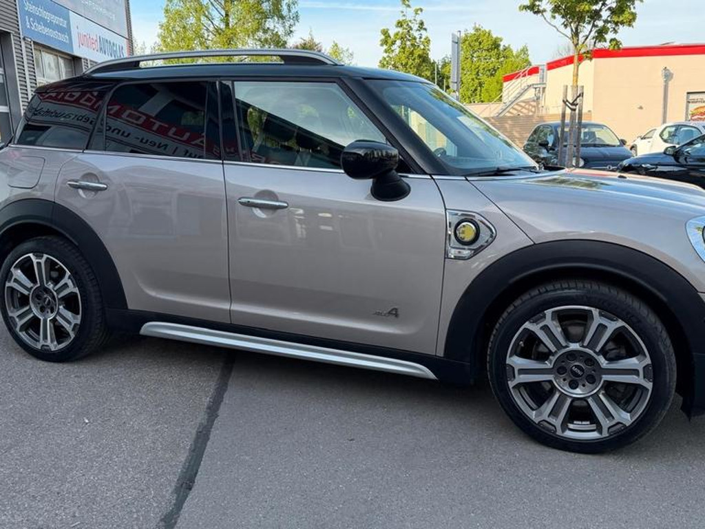 Mini Mini Electric