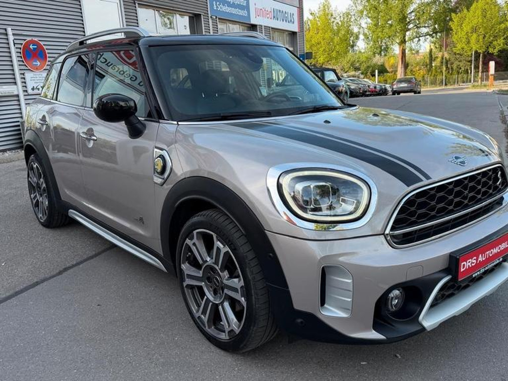 Mini Mini Electric