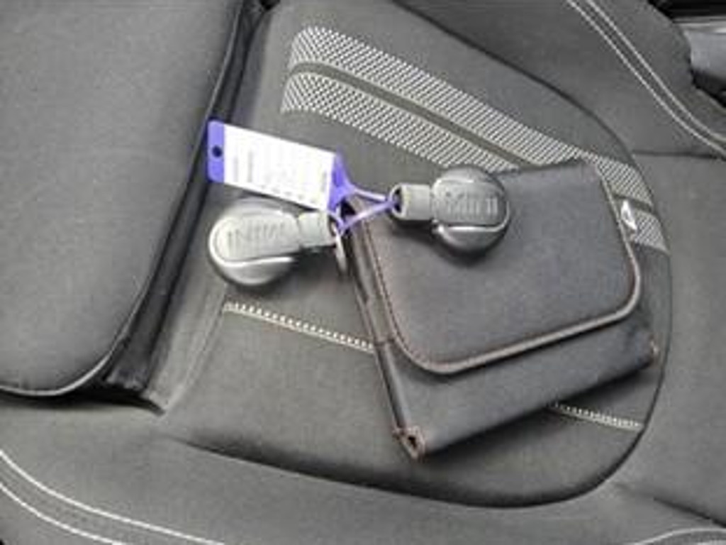 Mini Mini Electric