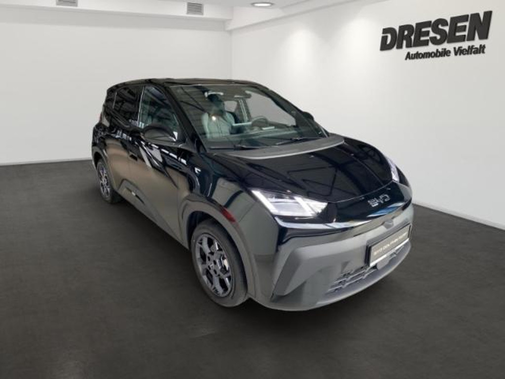 BYD Dolphin Comfort