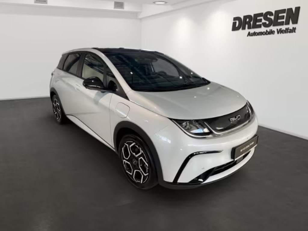 BYD Dolphin Design