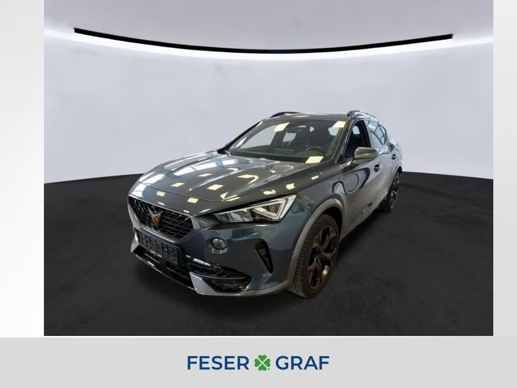 Cupra Formentor 2.0 TSI DSG VZ