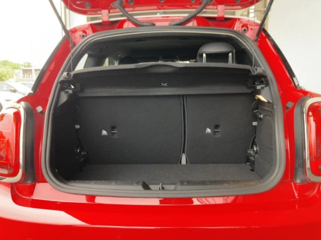 Mini Mini Electric