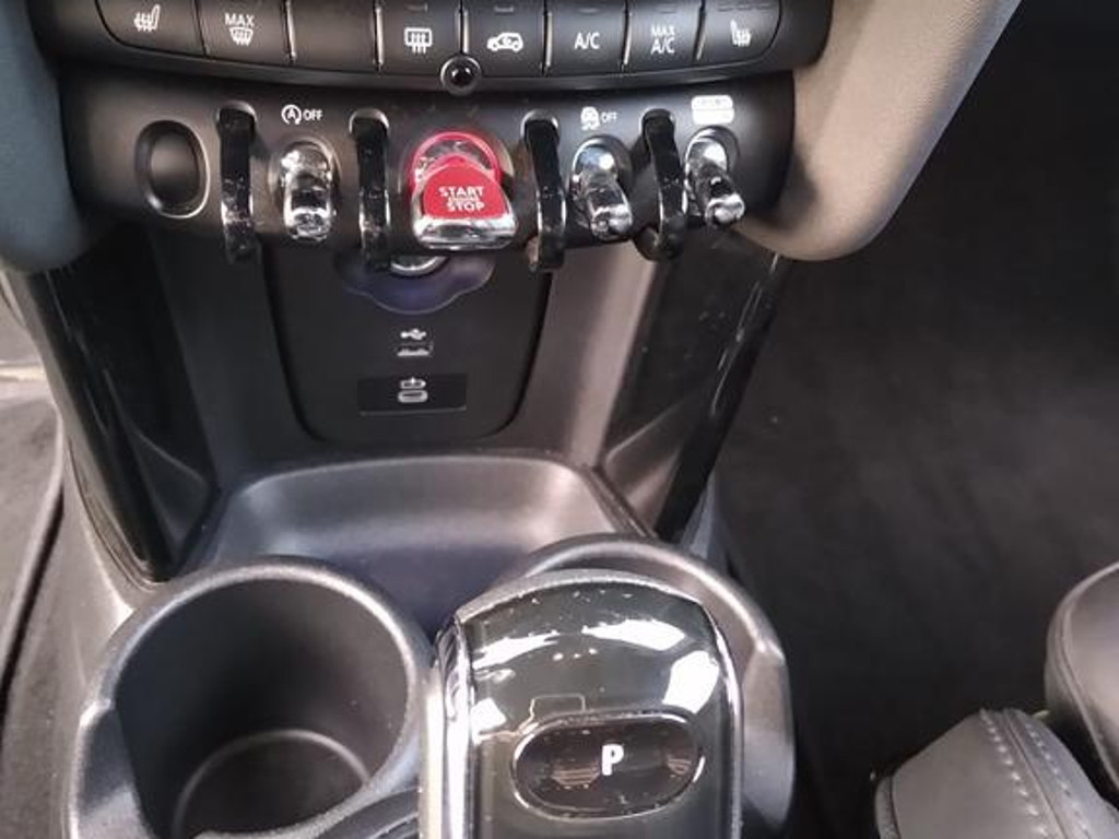 Mini Mini Electric