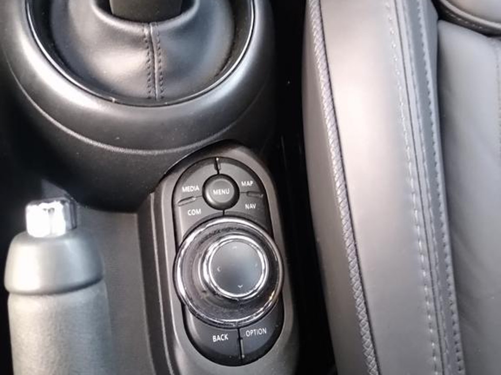 Mini Mini Electric