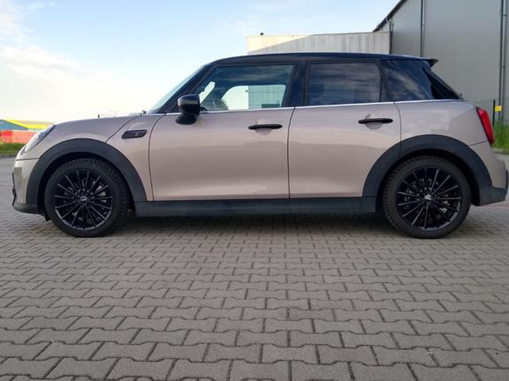 Mini Mini Electric