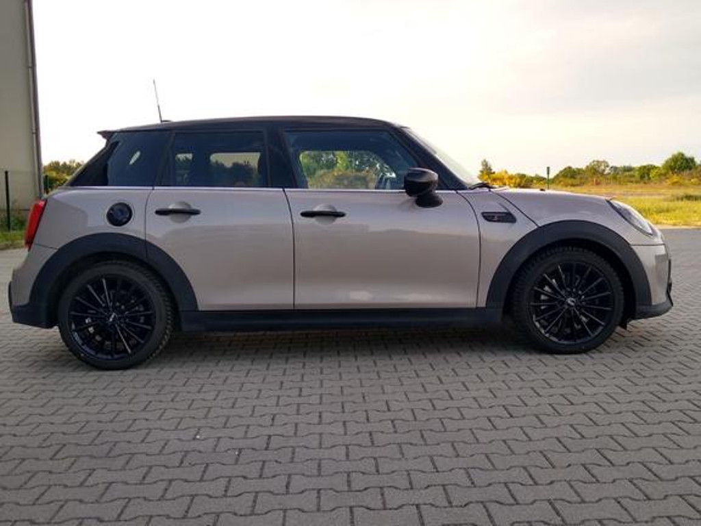 Mini Mini Electric