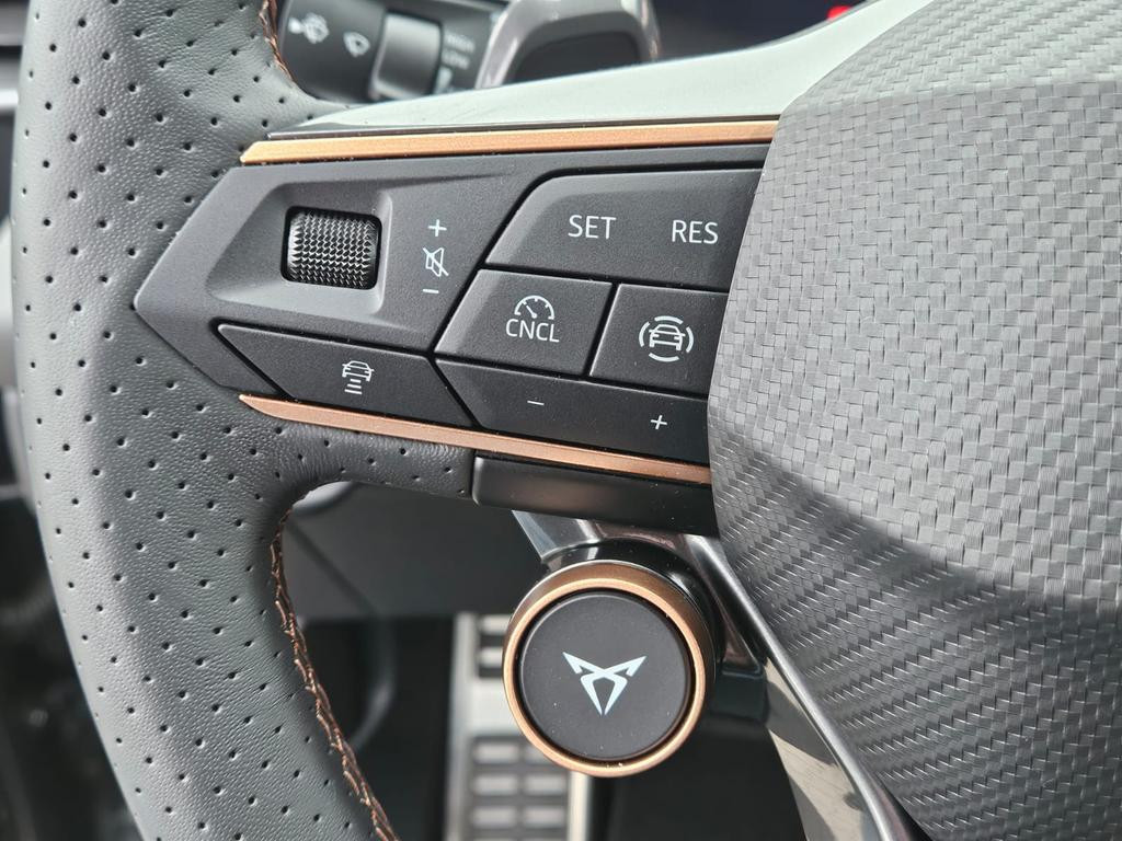 Cupra Terramar