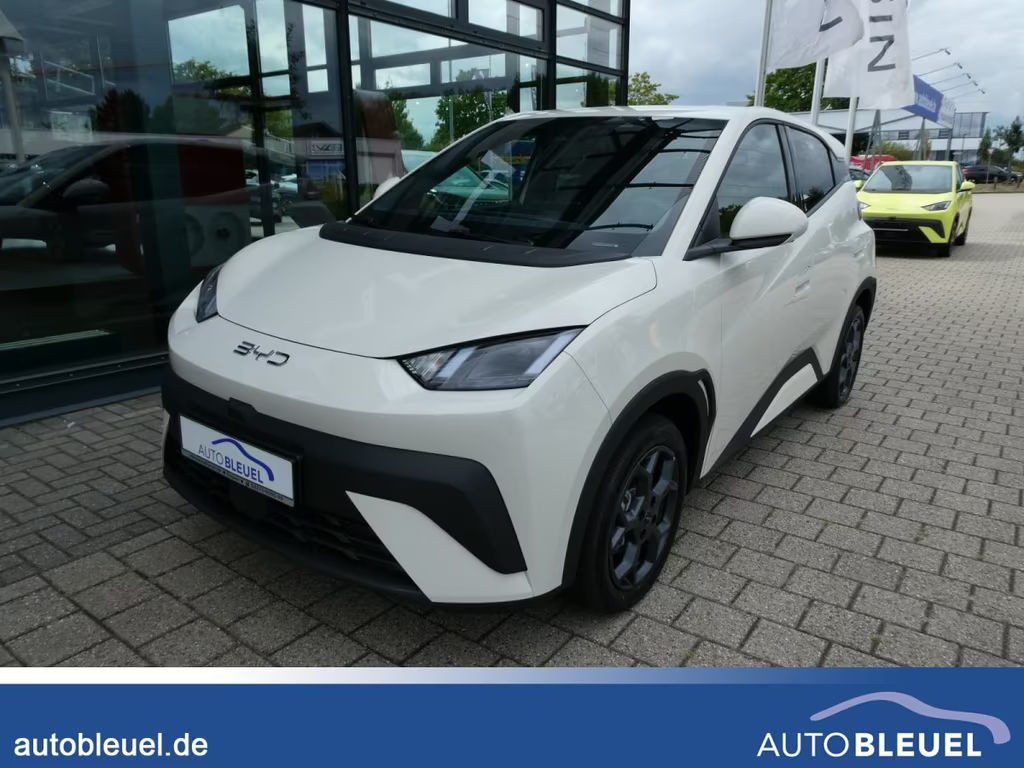 BYD Dolphin Comfort
