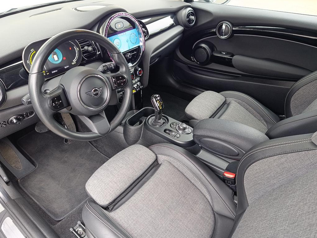 Mini Mini Electric