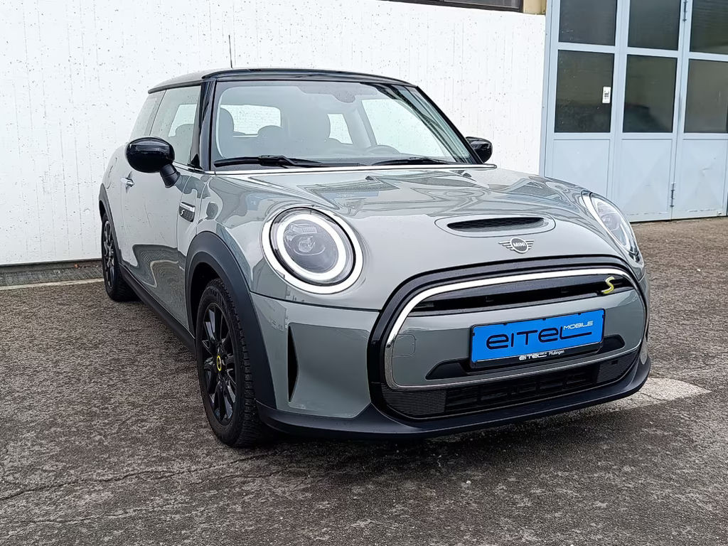 Mini Mini Electric