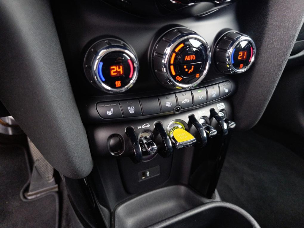 Mini Mini Electric