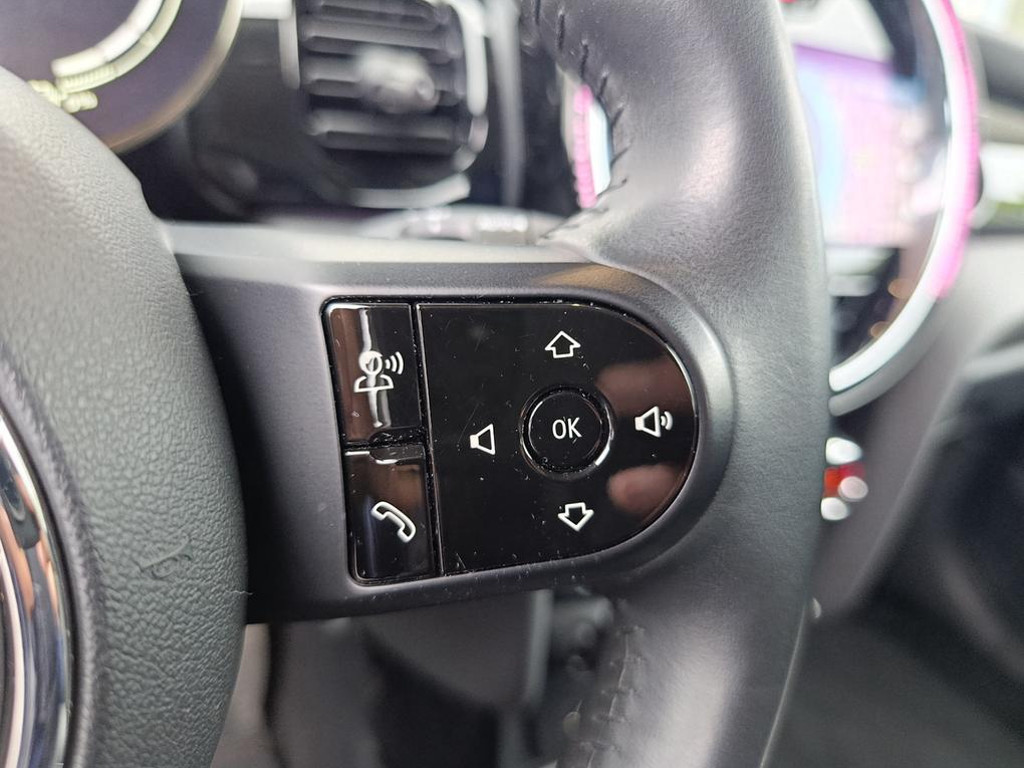 Mini Mini Electric