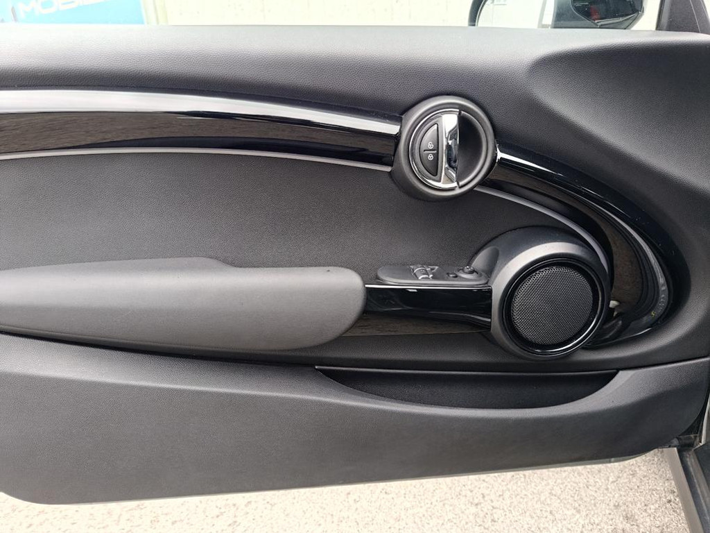 Mini Mini Electric