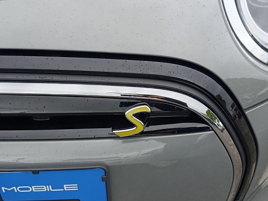 Mini Mini Electric