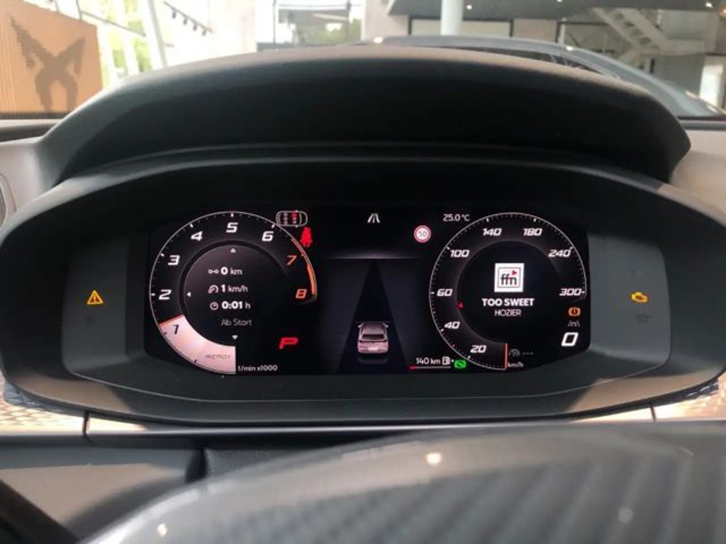 Cupra Terramar