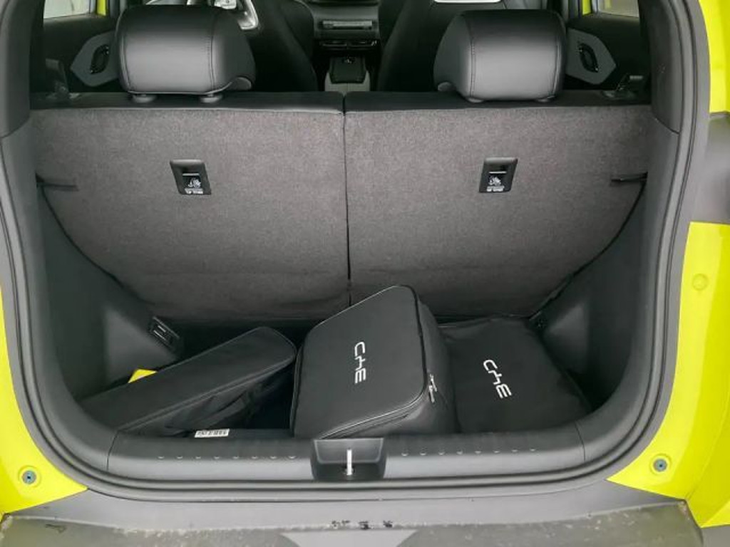 BYD Dolphin Surf