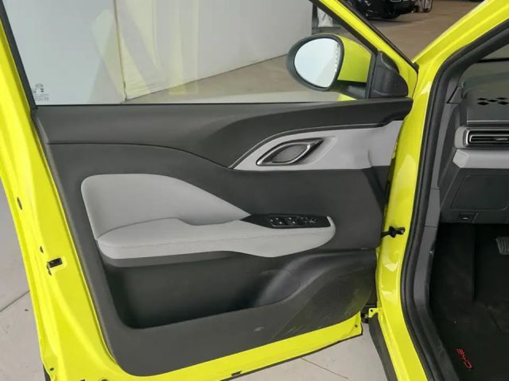 BYD Dolphin Surf