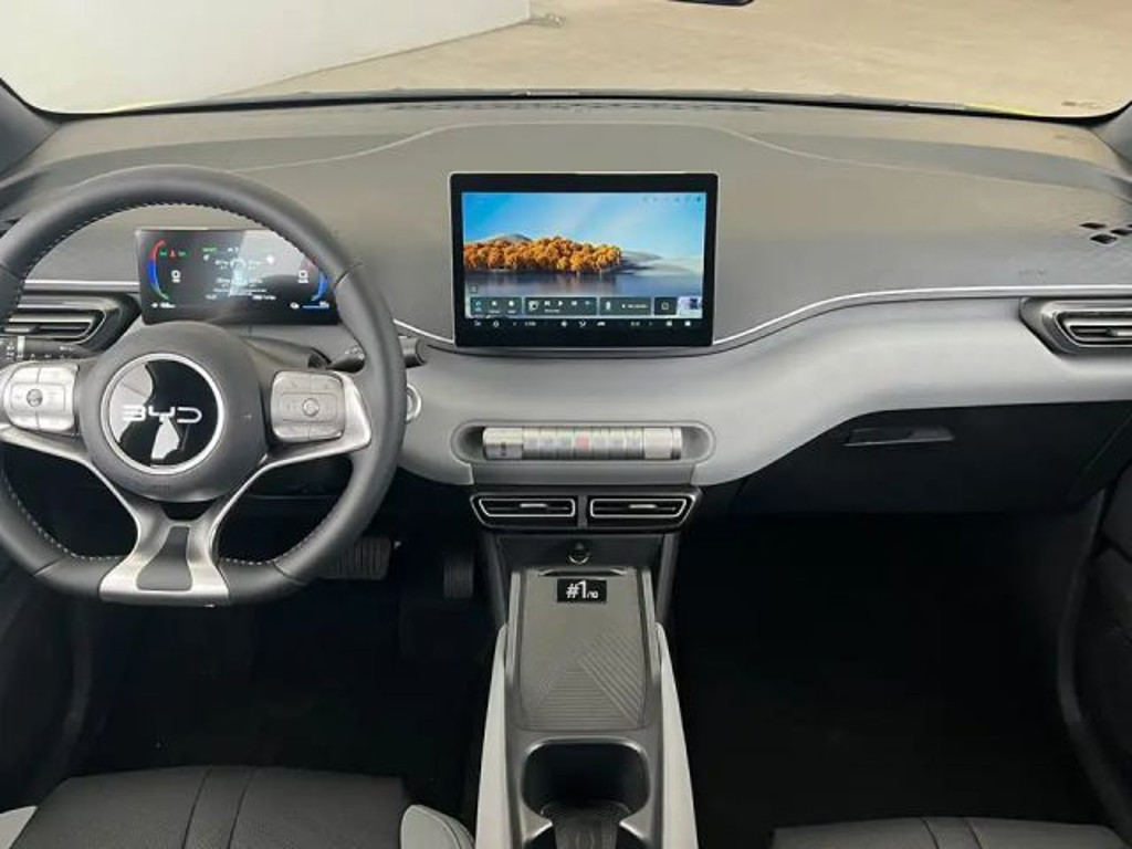 BYD Dolphin Surf