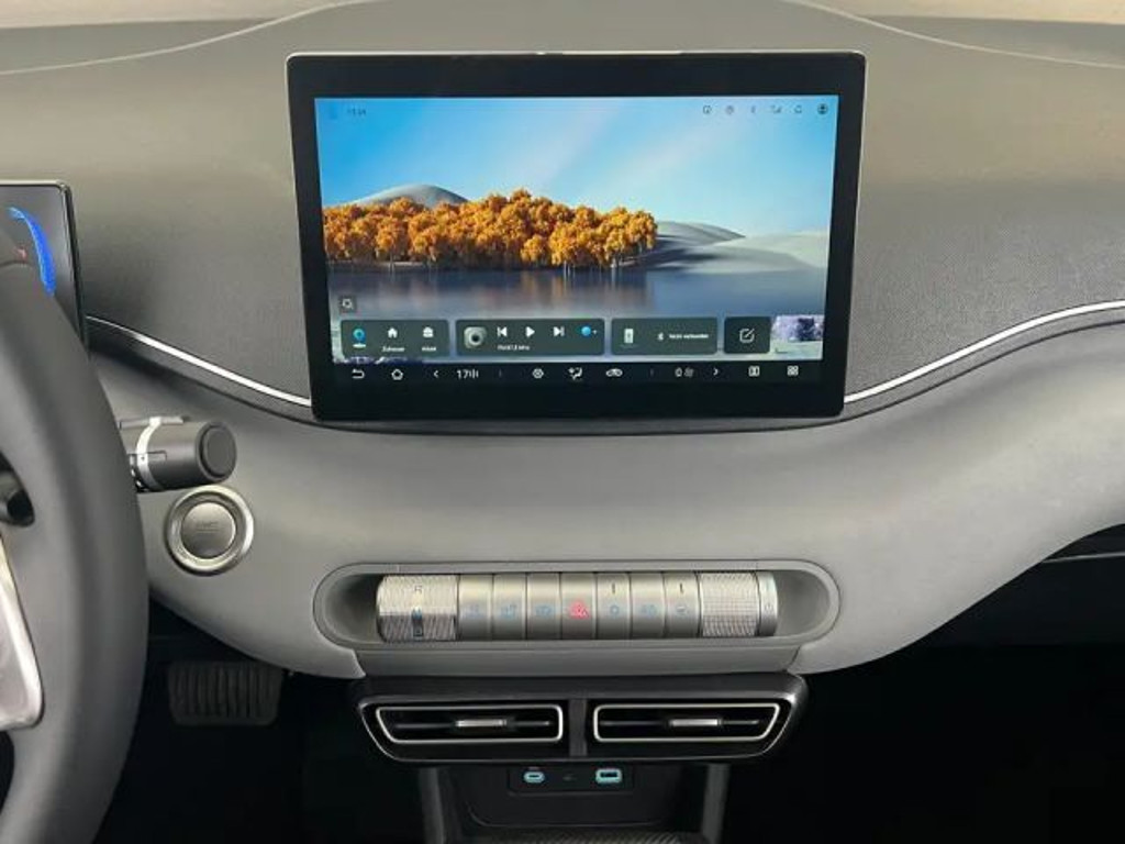 BYD Dolphin Surf