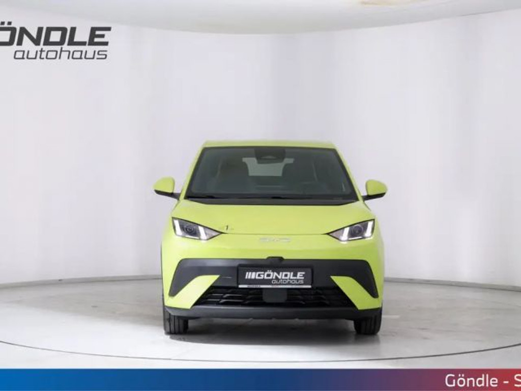 BYD Dolphin Surf