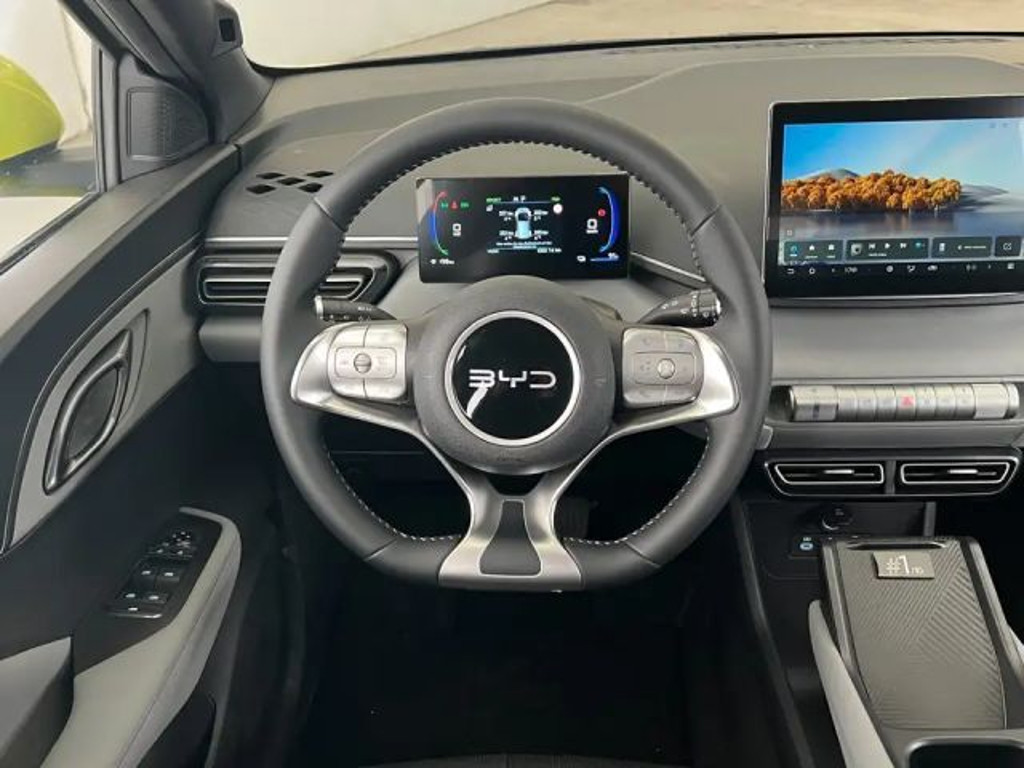 BYD Dolphin Surf