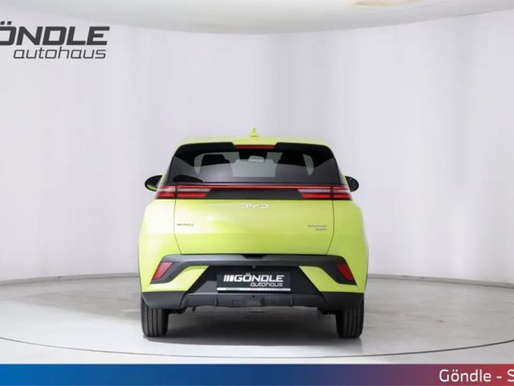 BYD Dolphin Surf