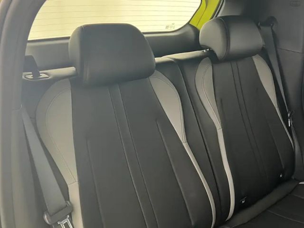 BYD Dolphin Surf