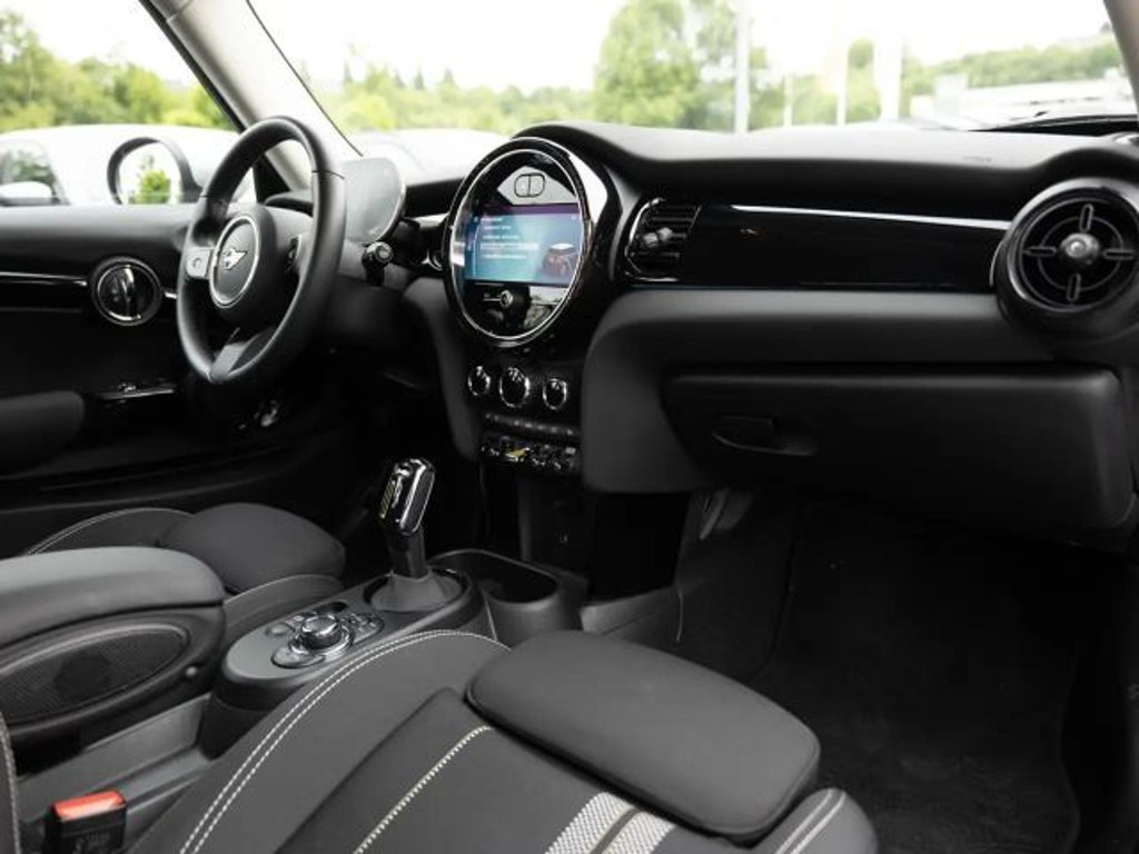 Mini Mini Electric