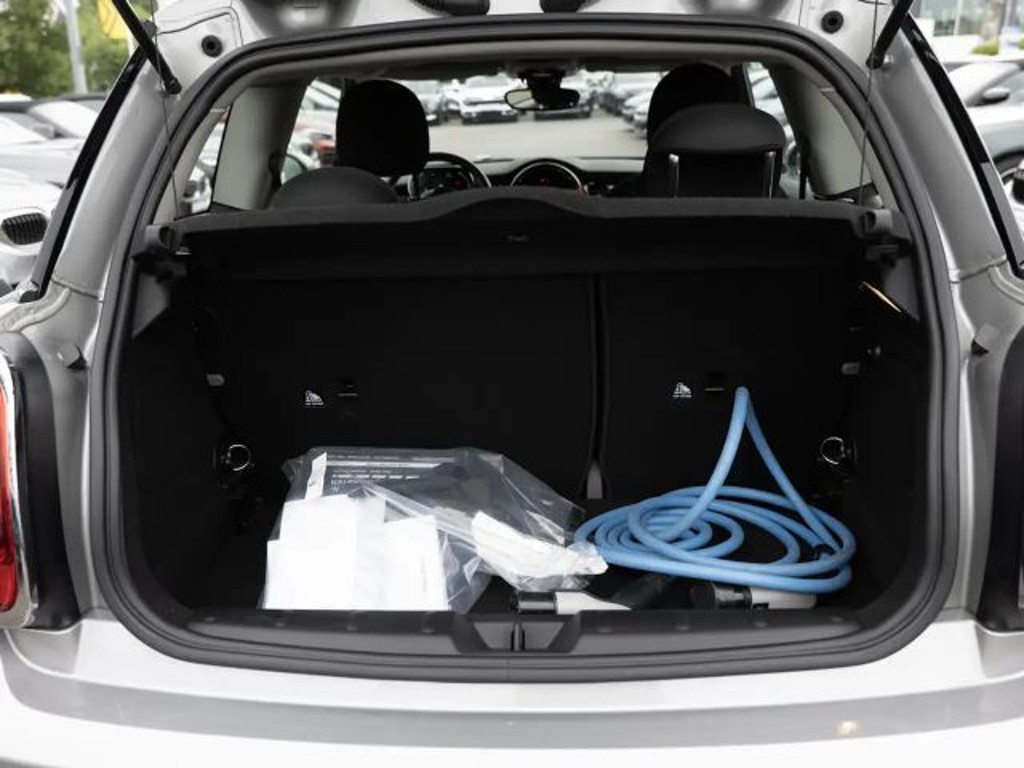 Mini Mini Electric