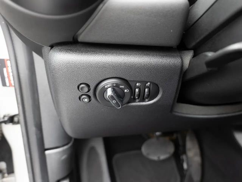 Mini Mini Electric