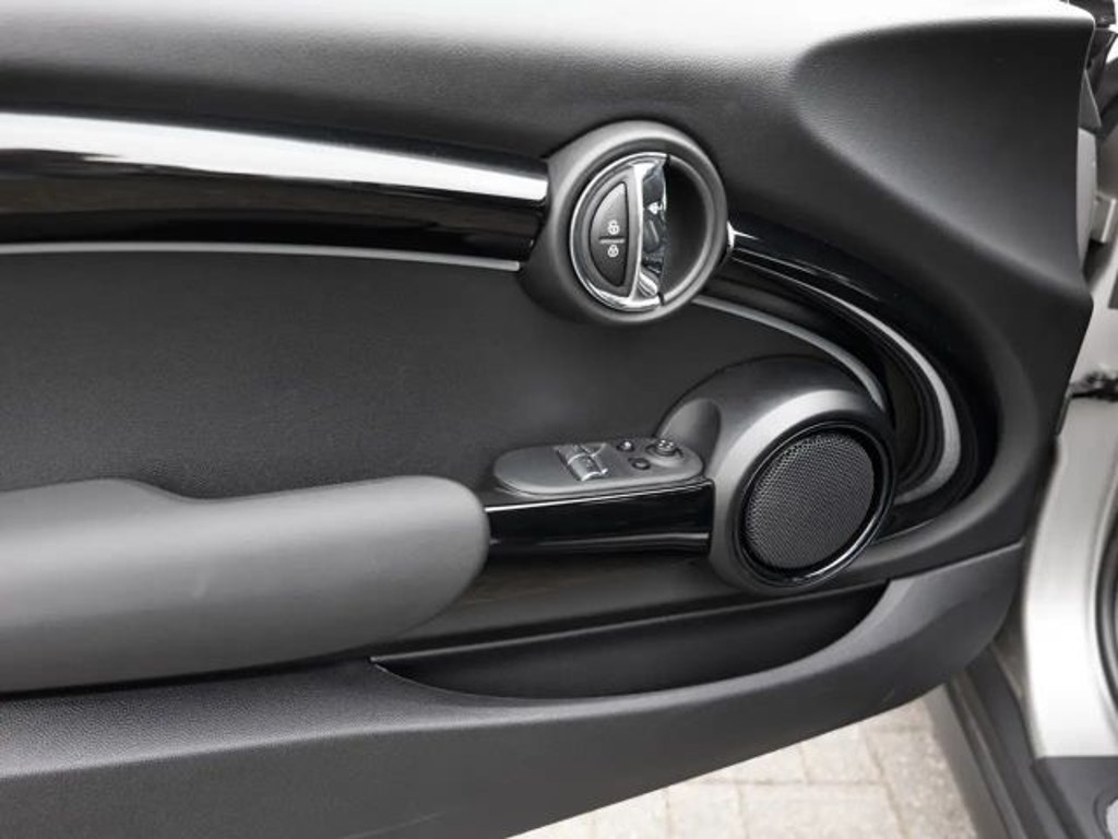Mini Mini Electric