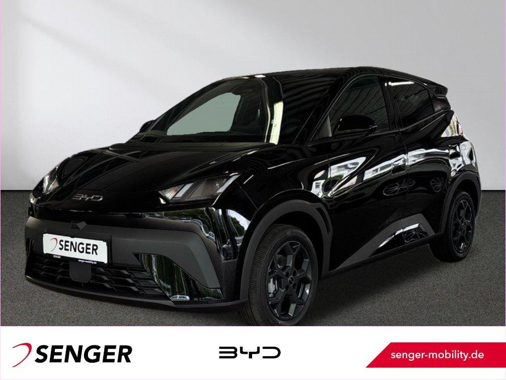 BYD Dolphin Comfort