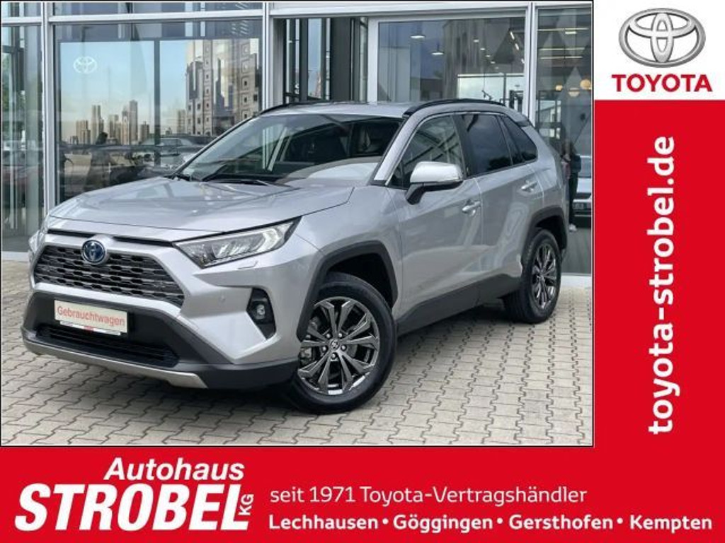 Toyota RAV4 Team D 4x2 Hybride Technik