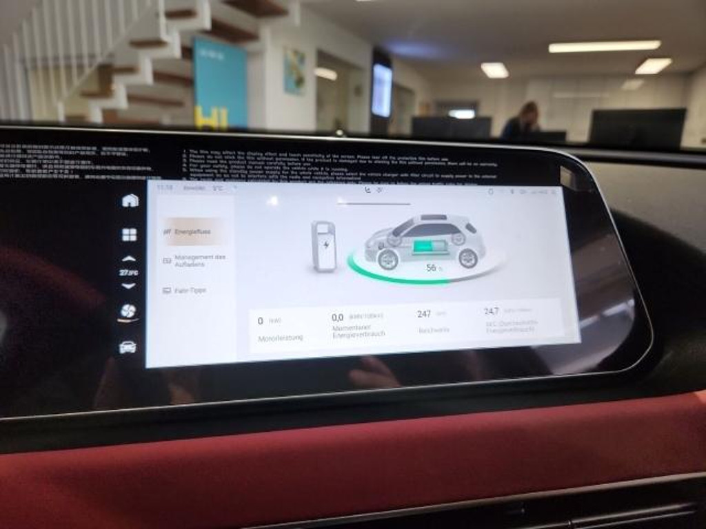 Ora Funky Cat